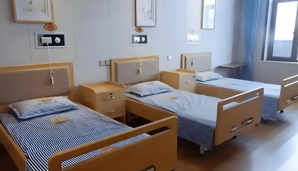 十年守护：东京生死恋